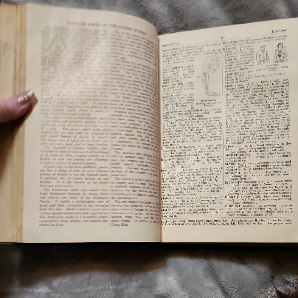 Vintage  ..The Winston Simplified Dictionary for Schools - Green Hardcover - Picture 6 of 7